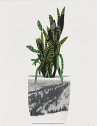 Jonas Wood  Untitled, 2014  Lithograph, silkscreen