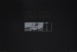 What Do You Want To Come Back As?, 3
