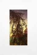 Joan Nelson Untitled (Tree), 1999–2000 Lithograph, silkscreen varnish