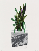 Jonas Wood Untitled, 2014 Lithograph, silkscreen, ed. 50