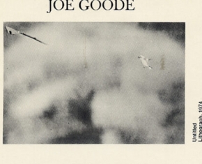 Joe Goode