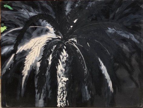 Untitled (Palm Tree), 1996